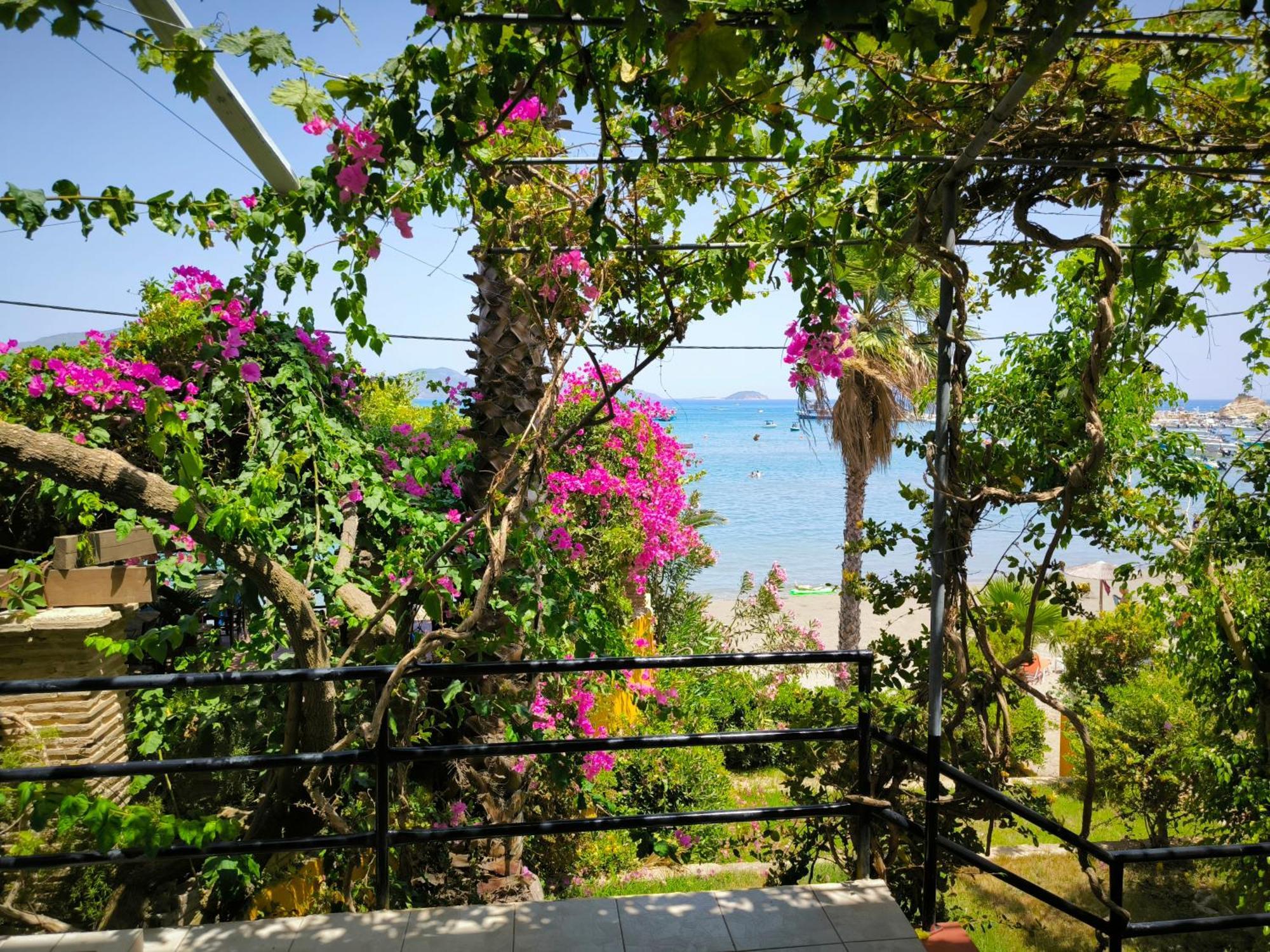 Lithakia  Aggelika Apartments מראה חיצוני תמונה